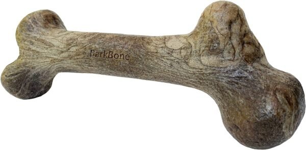 Pet Qwerks Dinosaur BarkBone - Nylon Dog Bone for Aggressive Chewers